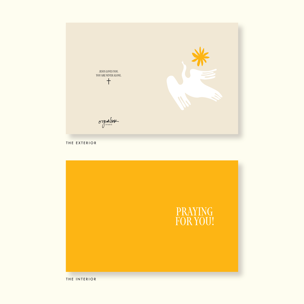 The Hands of Intention Collection
